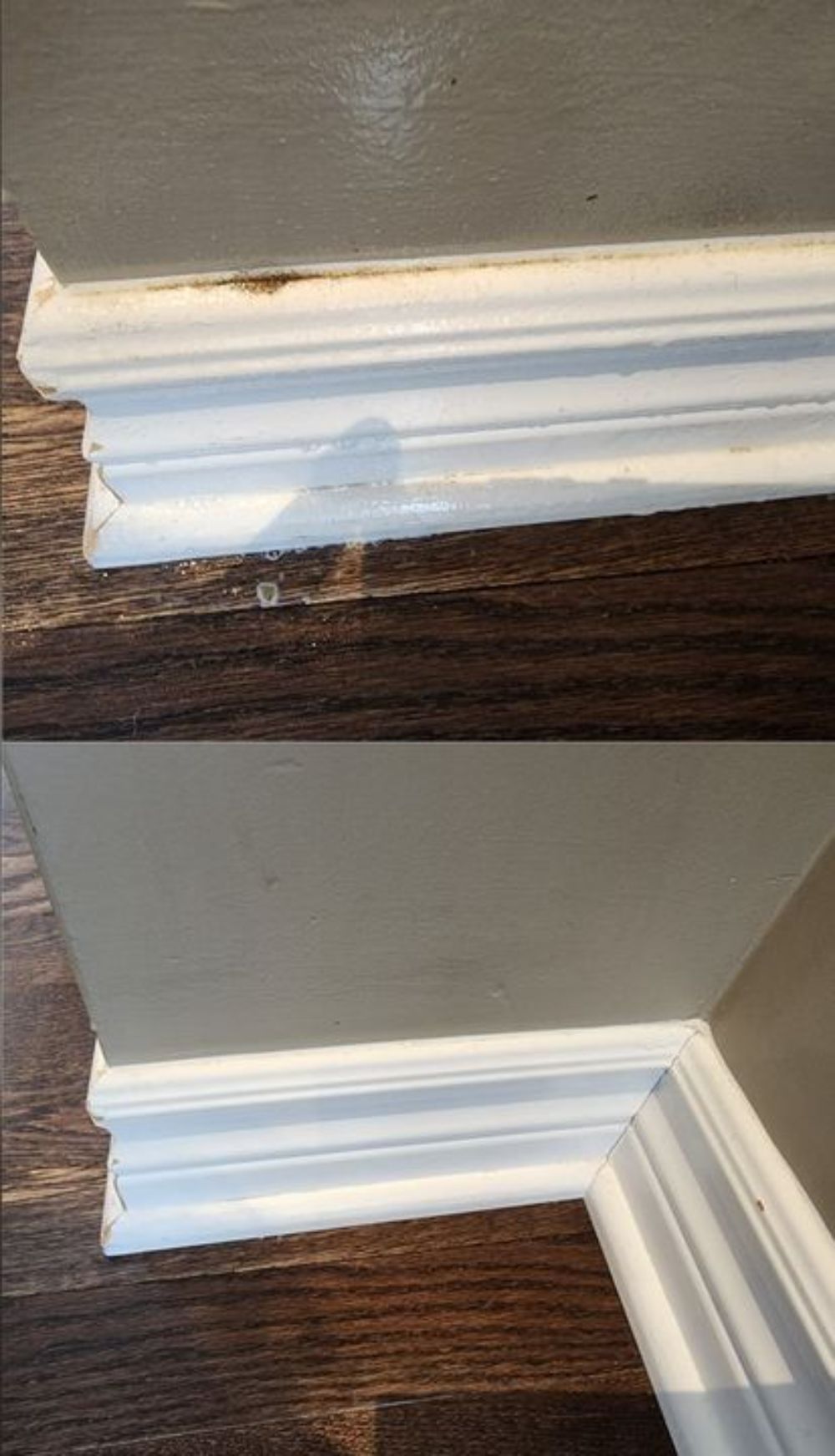 Aplus Cleaning Services Llc (36)