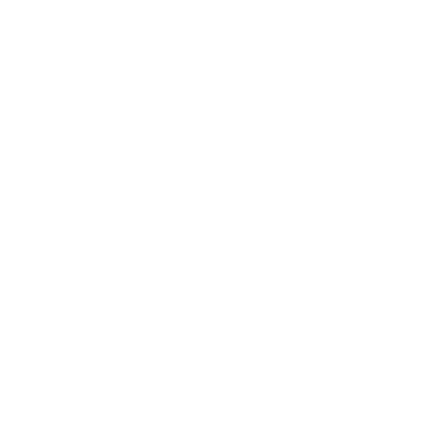 Additional Cleaning Services