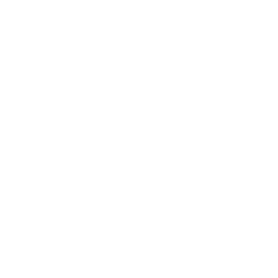 Detail-Oriented Service